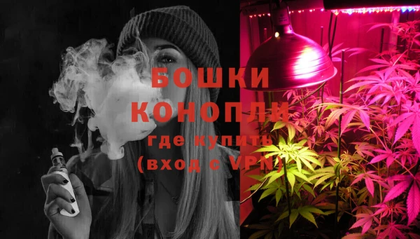амф Аркадак
