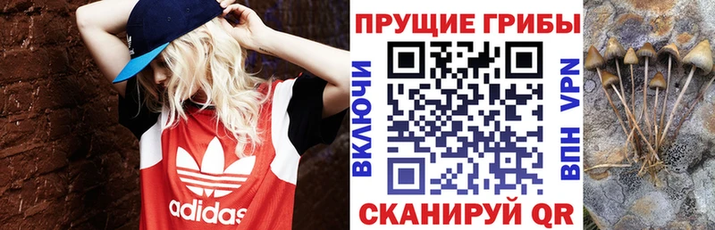 мега вход  Голицыно  Галлюциногенные грибы MAGIC MUSHROOMS 