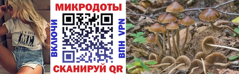 Галлюциногенные грибы Cubensis Голицыно